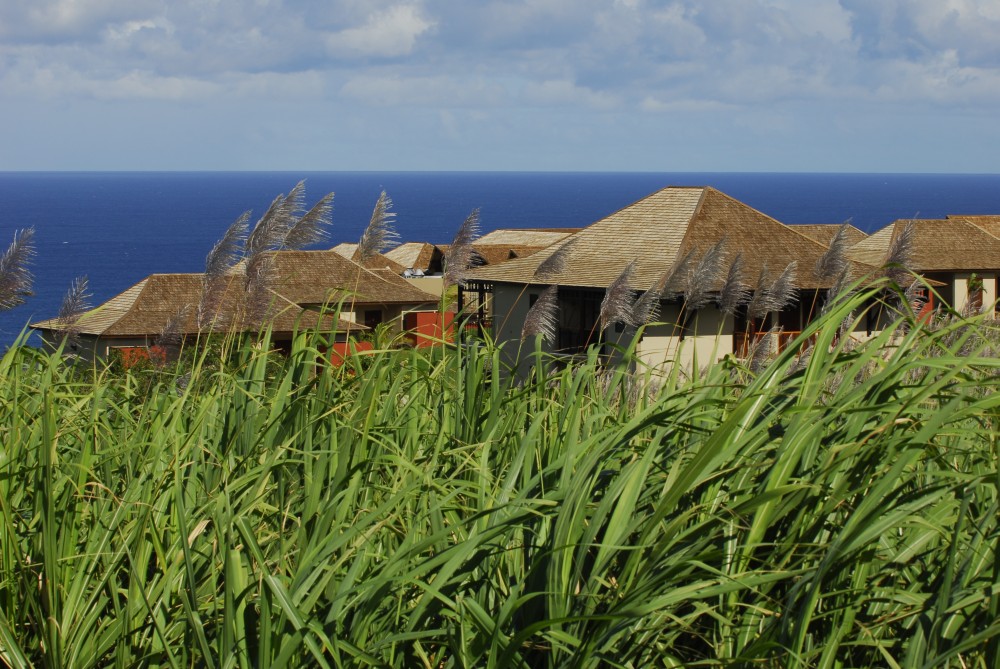 Ile de La Réunion : le Palm Hotel & Spa décroche sa 5ème étoile