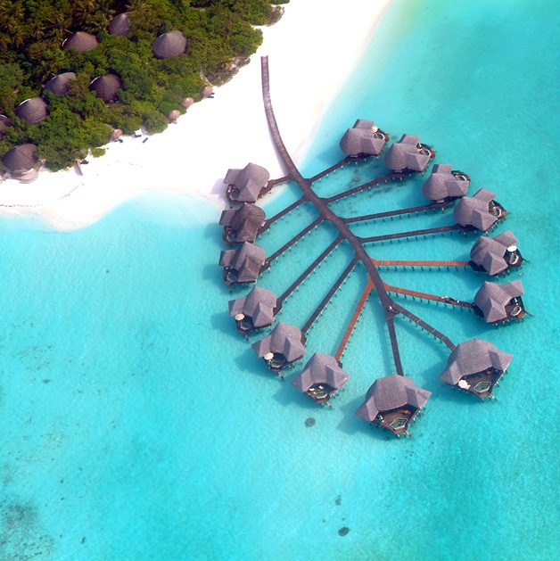 L’Unesco nomme l’atoll de Baa, aux Maldives, Réserve de biosphère