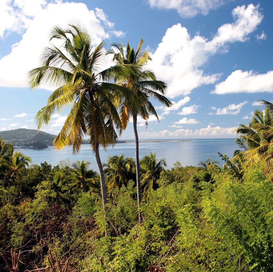 Les Seychelles, une destination de plus en plus prisée…
