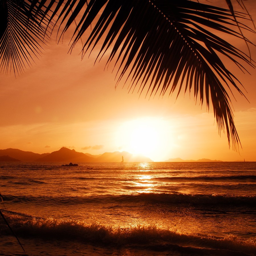 La Saint-Valentin aux Seychelles