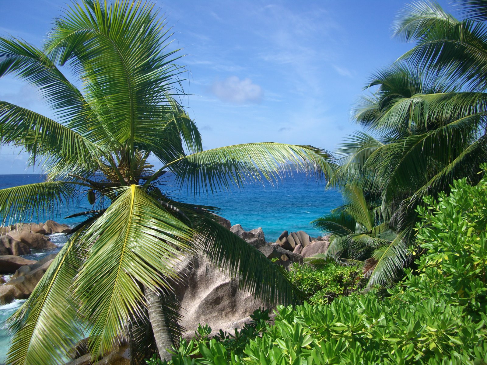 Marathon et Environnement Seychelles