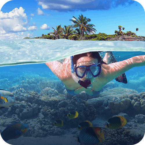 Snorkeling et plongée