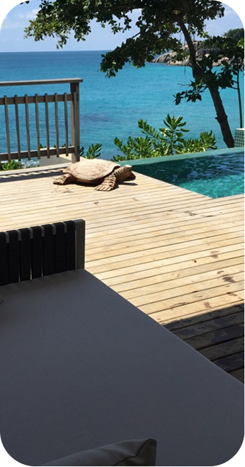 Hôtel vue mer